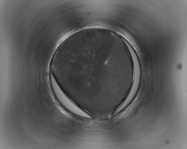 X0000098150858200804171611