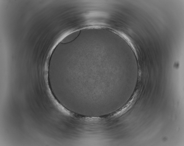 X0000098150859200804171611