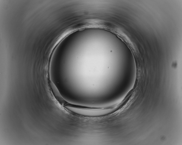 X0000098150860200804171611