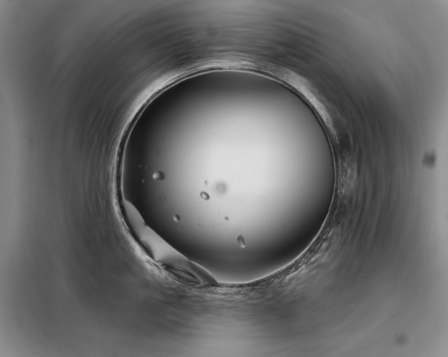 X0000098150861200804171611