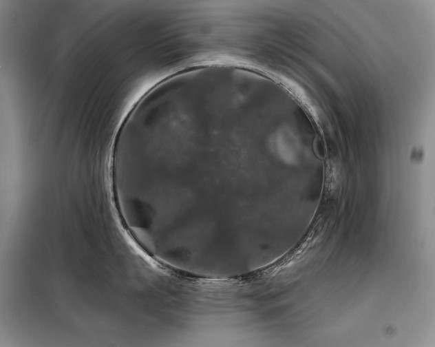 X0000098150863200804171611