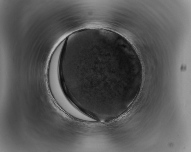X0000098150864200804171611