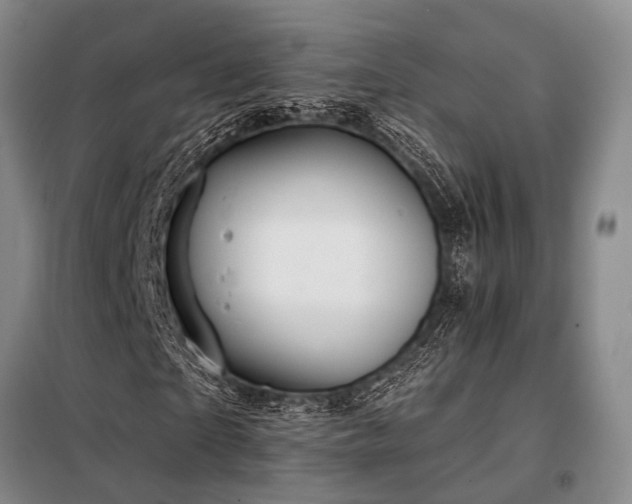 X0000098150865200804171610