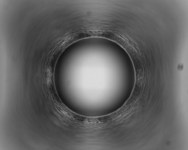 X0000098150866200804171610