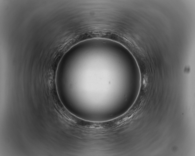 X0000098150867200804171610