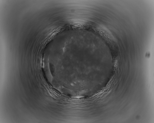 X0000098150868200804171610