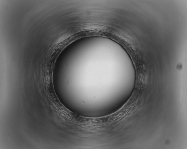 X0000098150869200804171610