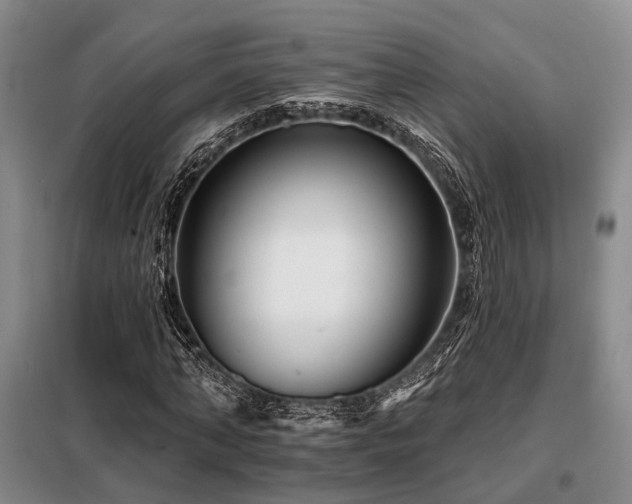 X0000098150870200804171610
