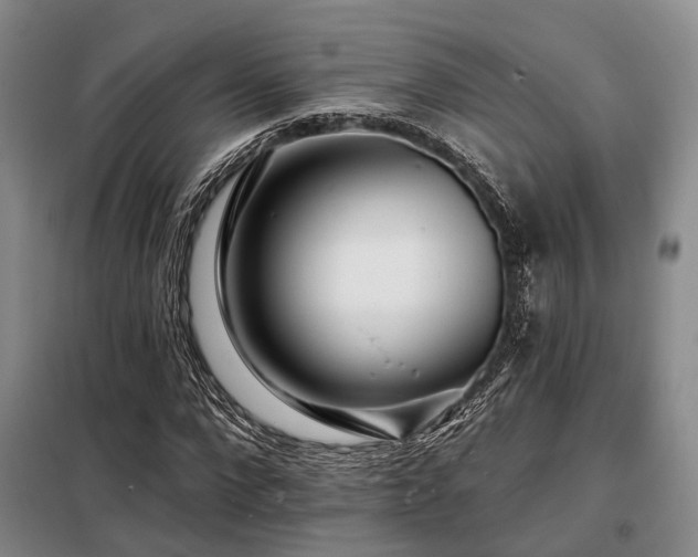 X0000098150872200804171610