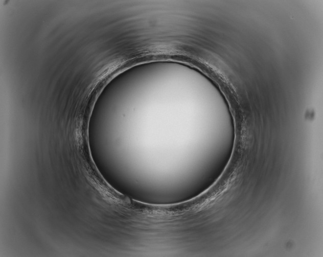 X0000098150873200804171610