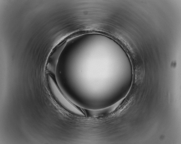 X0000098150876200804171610