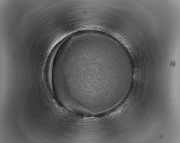 X0000098150877200804171610