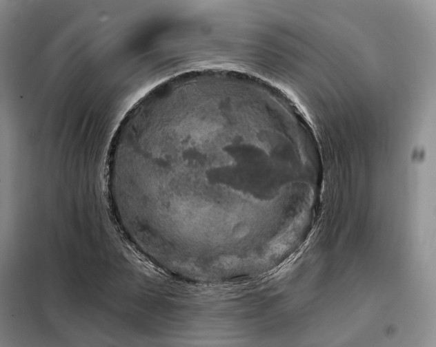 X0000098150879200804171610