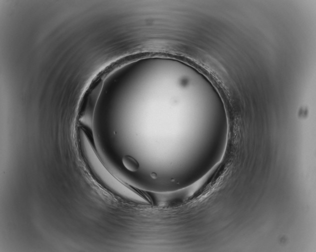 X0000098150880200804171610