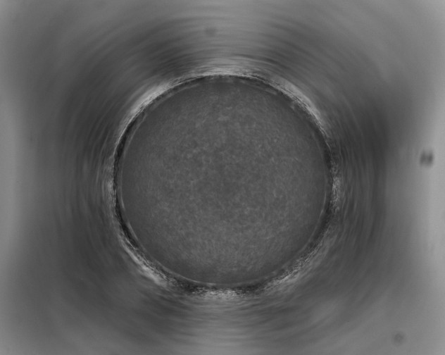 X0000098150882200804171610