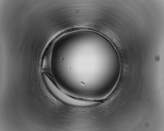 X0000098150884200804171610