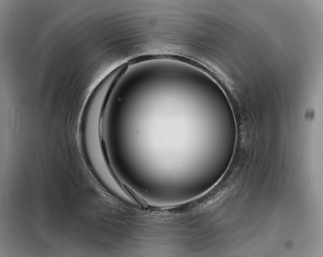 X0000098150885200804171610