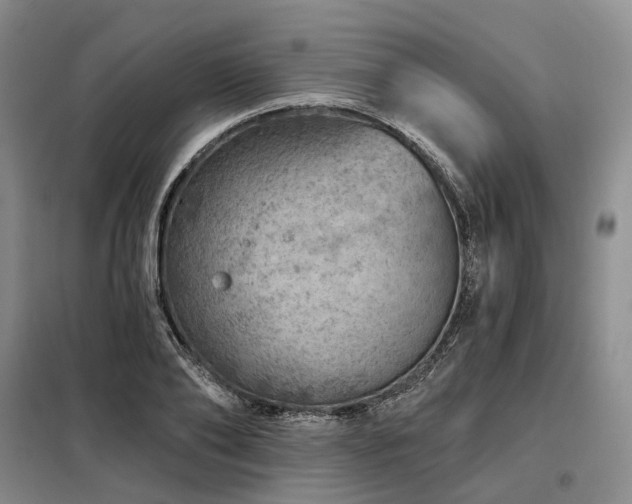 X0000098150886200804171610