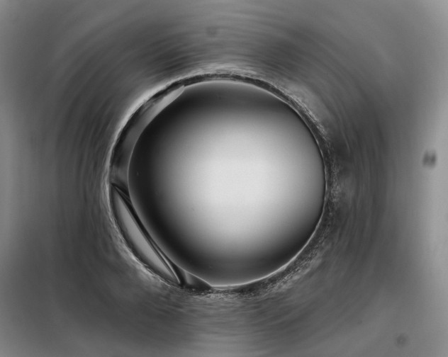 X0000098150888200804171610