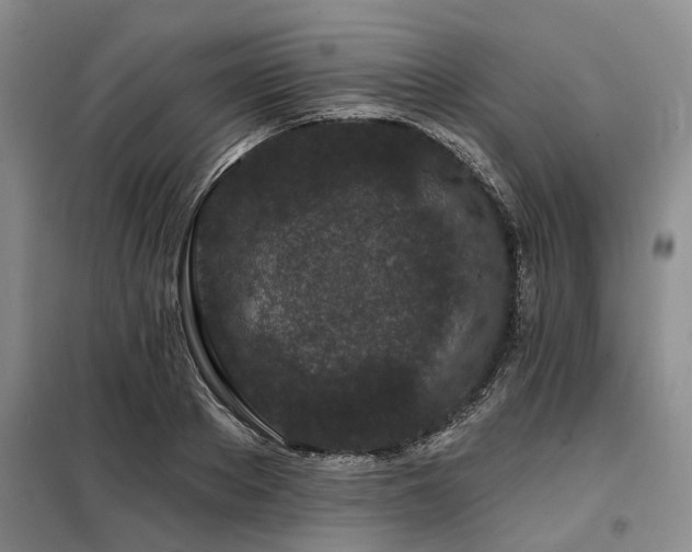 X0000098150889200804171610