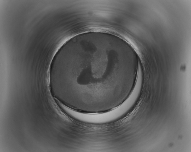X0000098150891200804171610