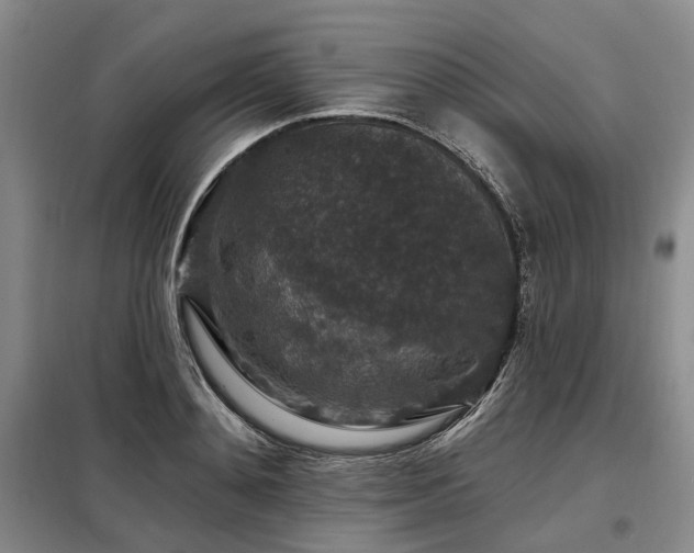 X0000098150892200804171610