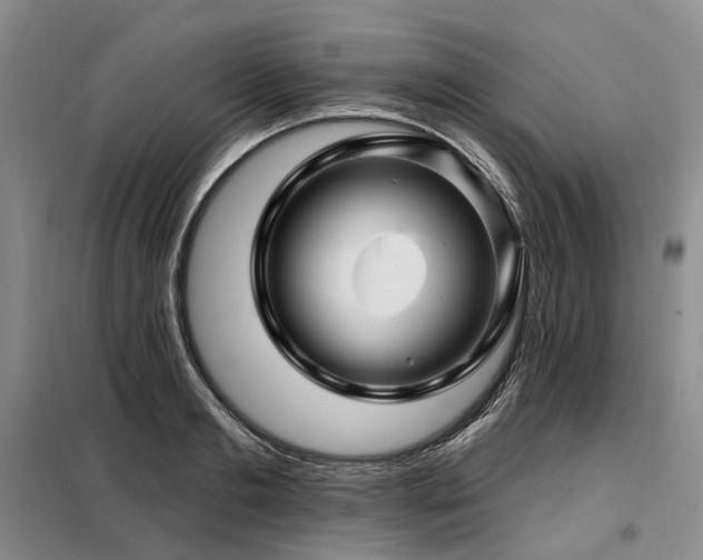 X0000098150893200804171610