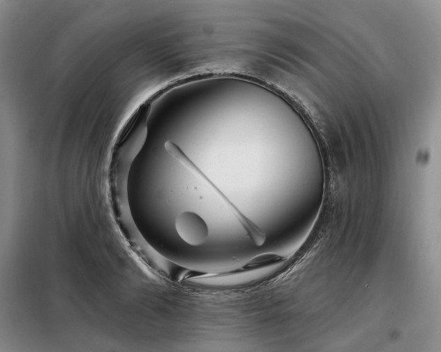X0000098150894200804171610