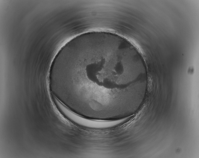 X0000098150895200804171610