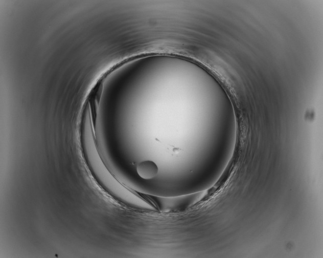 X0000098150896200804171610