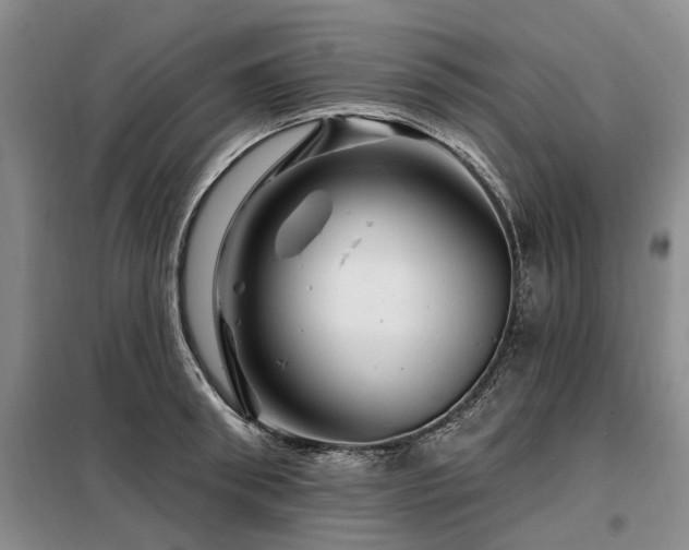 X0000098150898200804171610