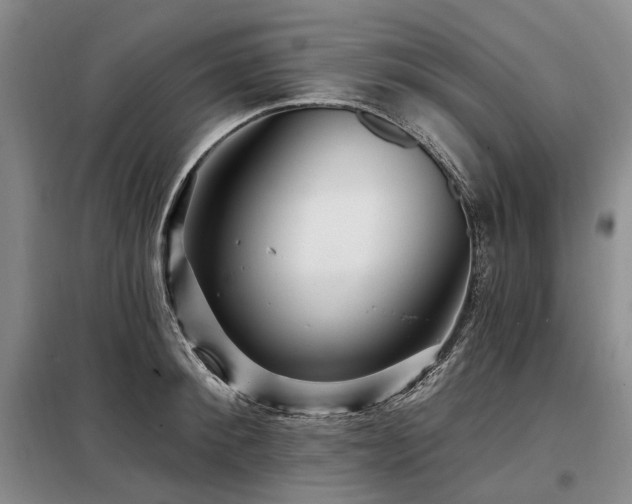 X0000098150900200804171610