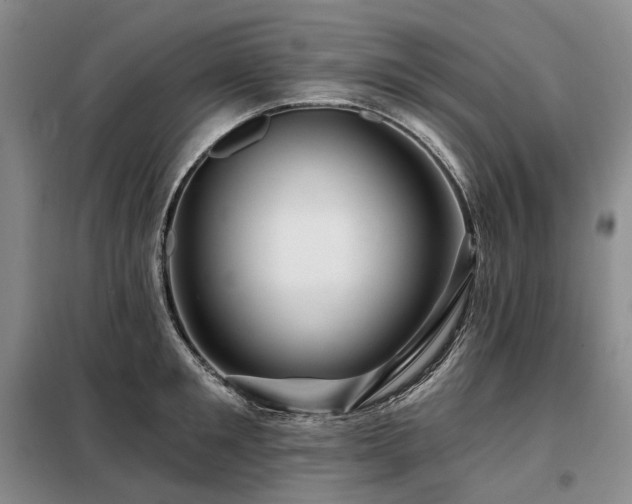 X0000098150901200804171610