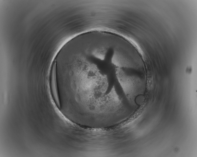 X0000098150903200804171610
