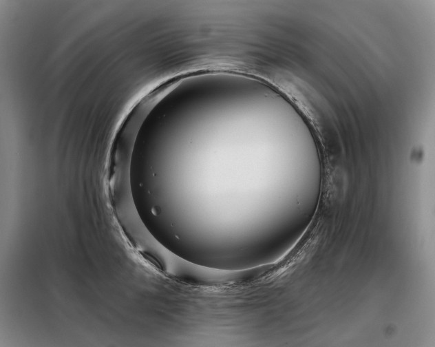 X0000098150904200804171610