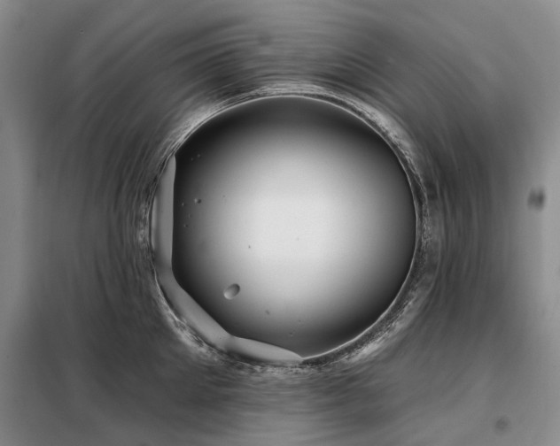X0000098150905200804171610