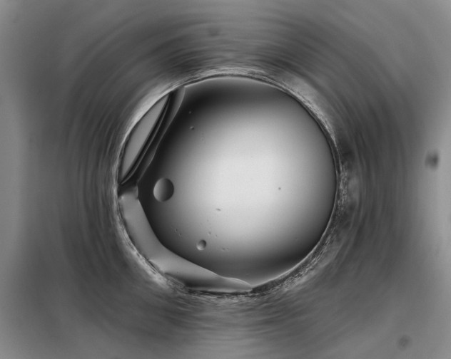 X0000098150906200804171610