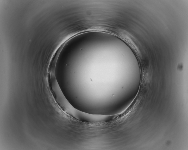 X0000098150908200804171610