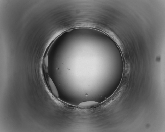 X0000098150909200804171610