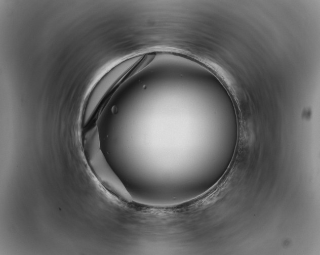 X0000098150910200804171610