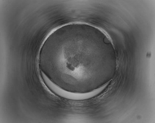 X0000098150911200804171610