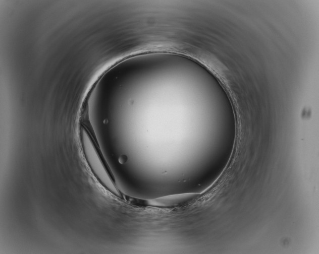 X0000098150912200804171610