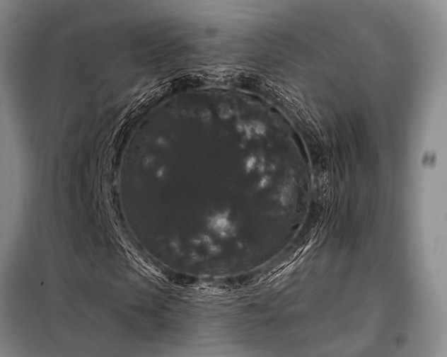 X0000098150913200804171609