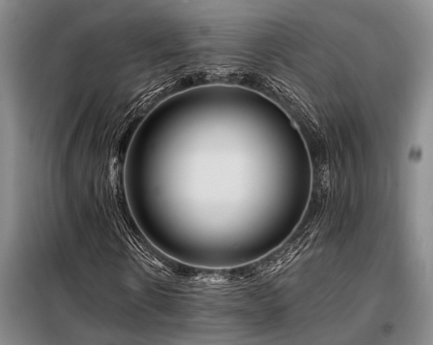 X0000098150914200804171609
