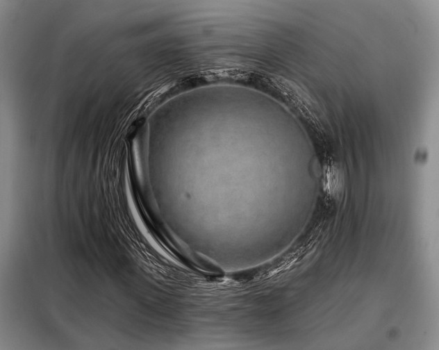X0000098150915200804171609