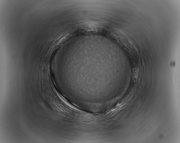 X0000098150916200804171609