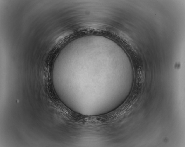 X0000098150918200804171609