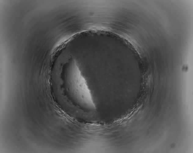 X0000098150919200804171609