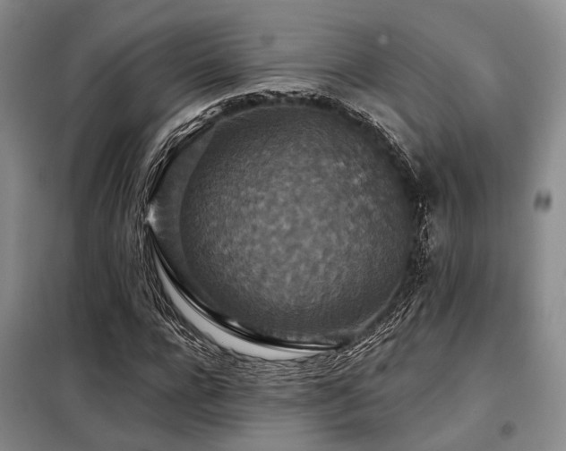 X0000098150920200804171609