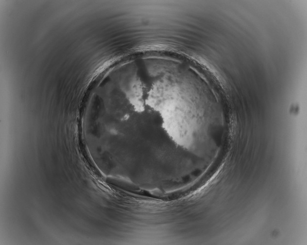 X0000098150921200804171609